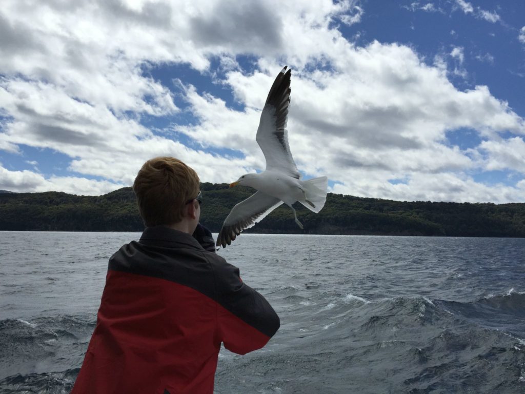 Family trip, Argentina: boy, seagull and boat at Bariloche. Copyright © 2015 reserved to photographer. Contact mapandfamily.com