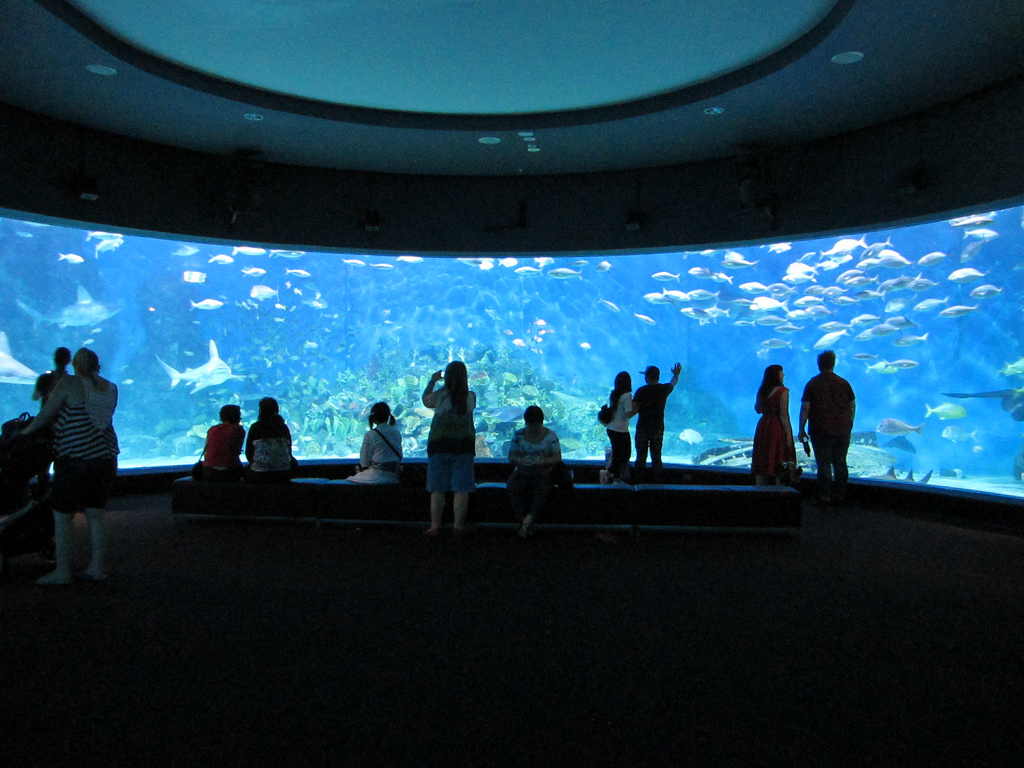 Melbourne Aquarium photo