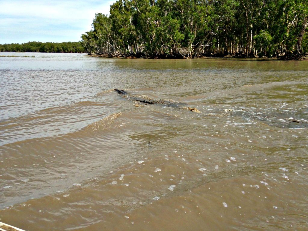 Australia family trip Bamurru crocodile. Copyright©reserved to the photographer, contact mapandfamily.com