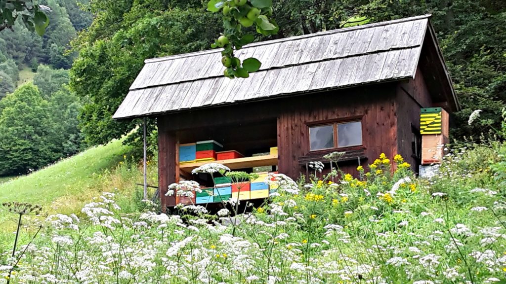 Slovenia family trip. Painted wooden beehive in meadow. Copyright©2017 reserved to photographer via mapandfamily.com 