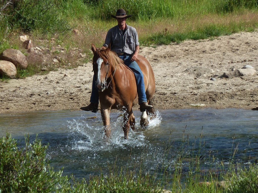 Family ranch holiday. Crossing a stream on horseback on Wyoming ranch. Copyright©2015 reserved to photographer. Contact mapandfamily.com