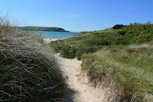path through the dunes behind Daymer Bay 