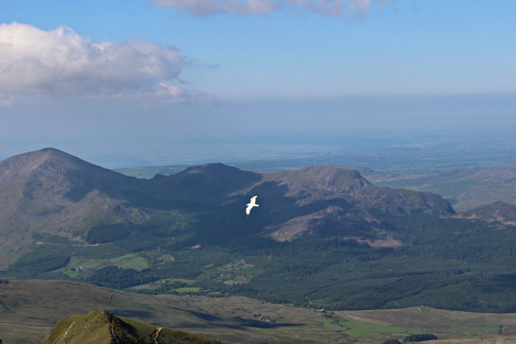 Walking in Snowdonia with teens: view from summit