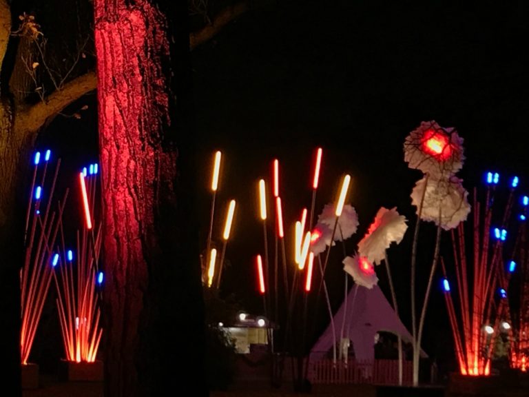 Christmas at Kew Gardens London local's guide 2023 Map & Family