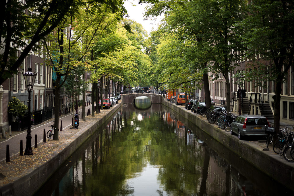 Leafy trees reflected in canal in Amsterdam. Where to go interrailing in Europe