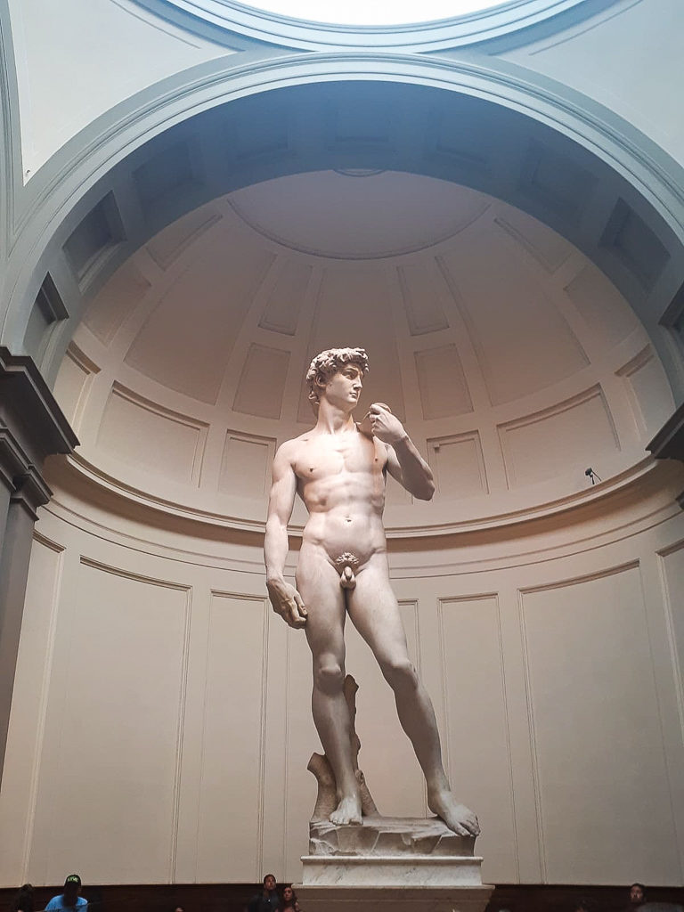 The original statue of Michelangelo's David in the Accademia, Florence. Copyright©2018 mapandfamily.com 