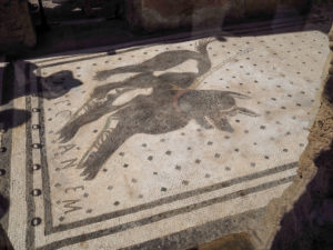 Mosaic of dog in Pompeii doorway. Copyright©2019 mapandfamily.com