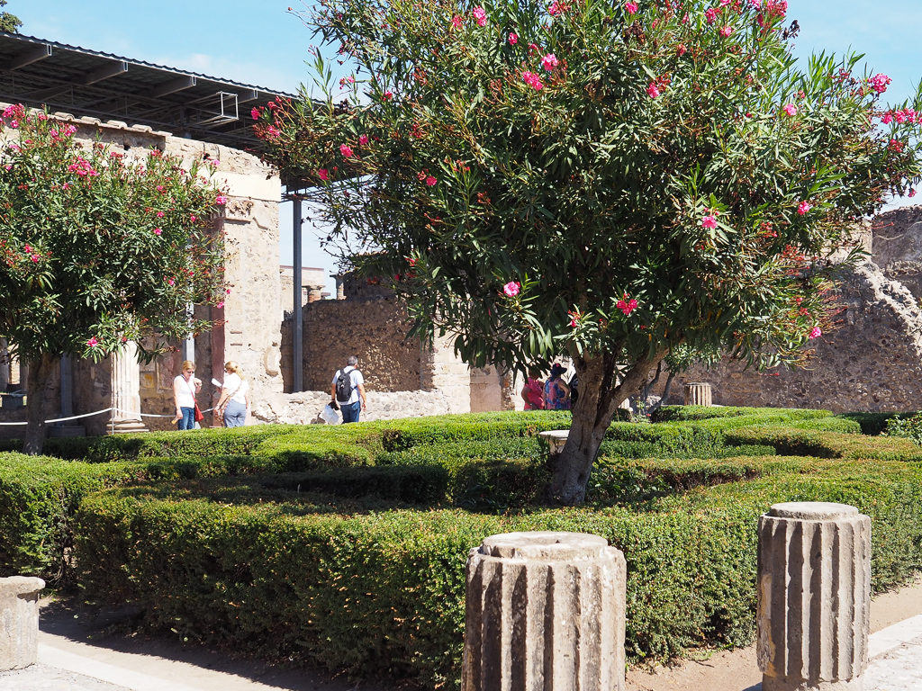 Flowering trees and shrubs in Pompeii garden. Copyright©2019 mapandfamily.com