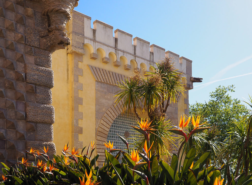 Exotic blooms against a yellow wall at Pena Palace, Sintra Portugal. Copyright@2025 NancyRoberts