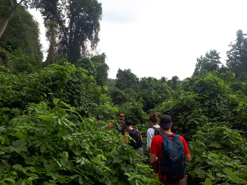 3 weeks in Vietnam. A group of people trekking through the jungle at Phong Nha. Copyright ©2019 mapandfamily.com 