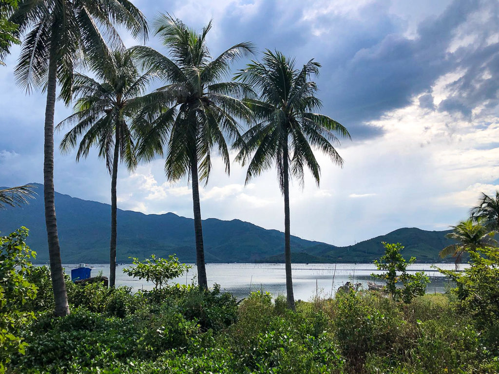 Hue to Hoi An, Vietnam. View of palm trees and mountains from bus. Copyright ©2019 mapandfamily.com 