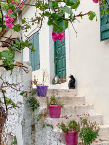 Fiskardo Kefalonia: things to do, where to stay 2025 - Map & Family