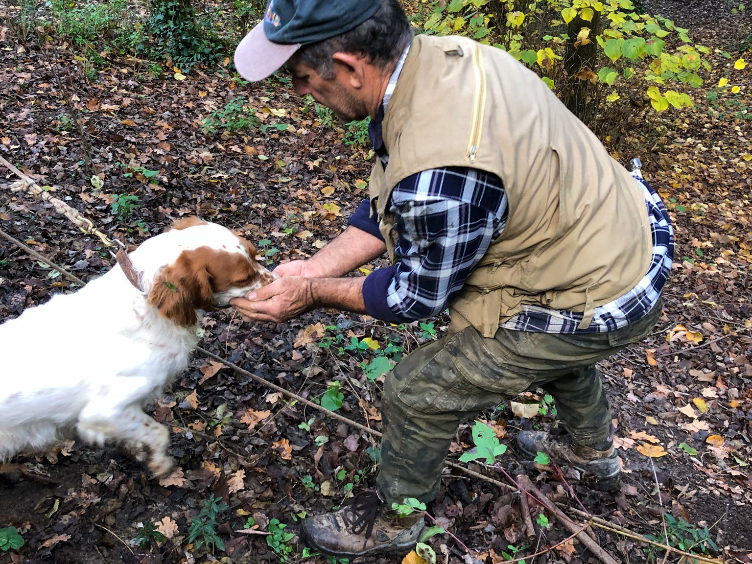 Man rewards dog truffle hunting in woodland. Copyright @2022 reserved to photographer via mapandfamily.com 