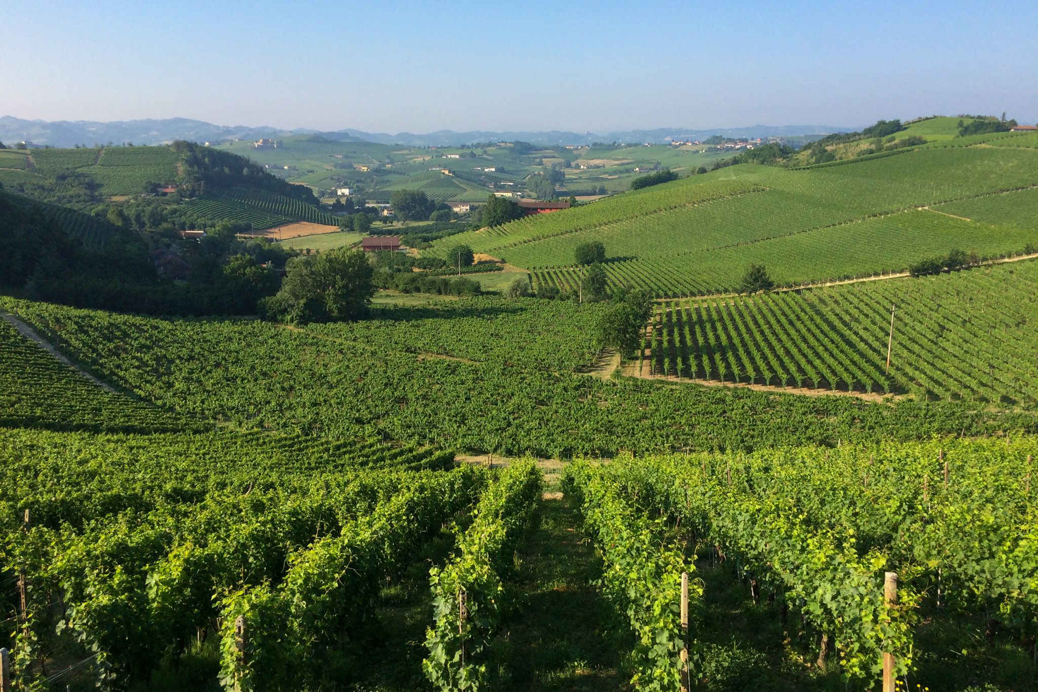 Truffle Hunting in Italy - Map & Family