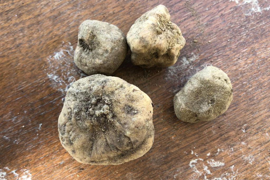 alba white truffles from Piedmont.  Copyright@2022 reserved to photographer via mapandfamily.com 