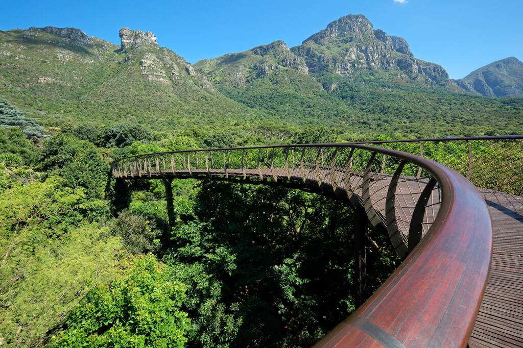 A curving metal walkway above the tree canopy with mountains in background. @EcoPic via DepositPhotos