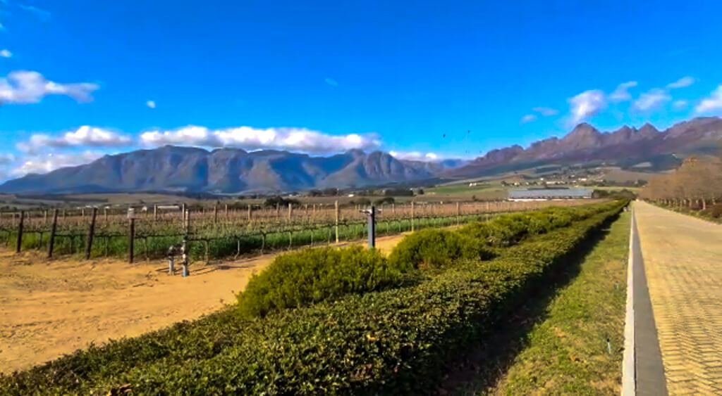 Cape Town in winter: blue sky and mountain views at Cavalli wine estate. Copyright@2023 reserved to photographer via mapandfamily.com