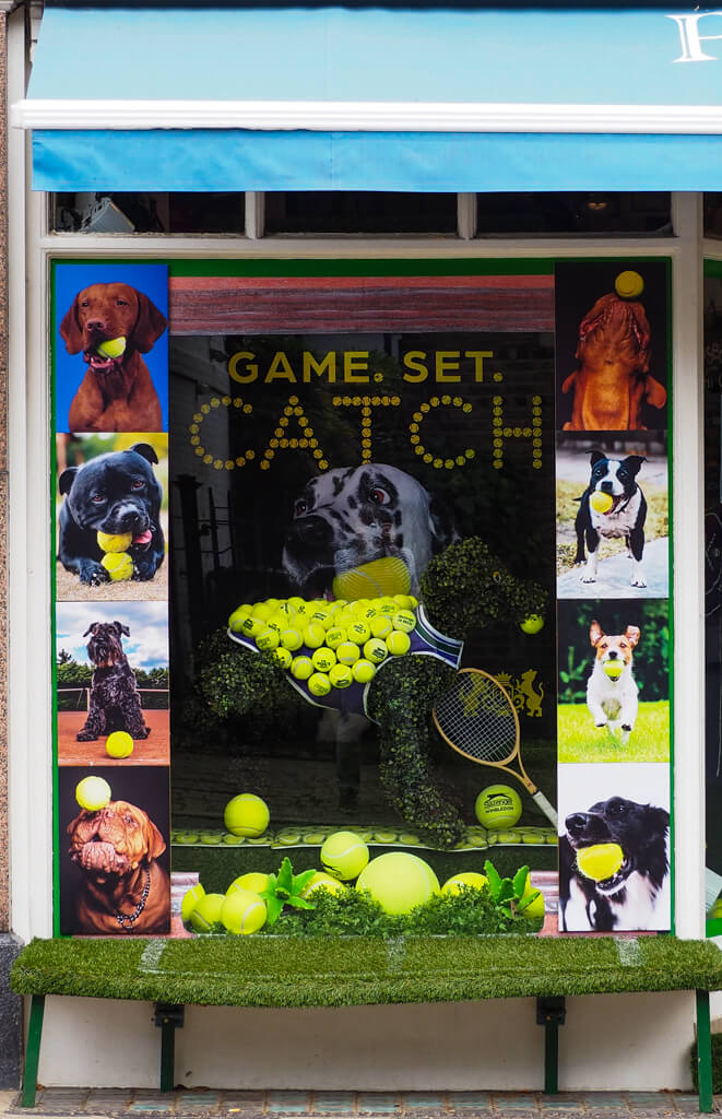Pet shop with tennis themed window showing photos of dogs and tennis balls Copyright@2023mapandfamily.com 