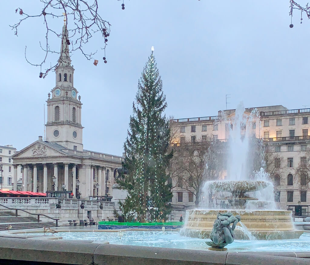 London in winter: early morning quiet in Trafalgar Square showing church of St Martins in the Fields with tall spire, Christmas tree and fountain. Copyright @2023 mapandfamily.com