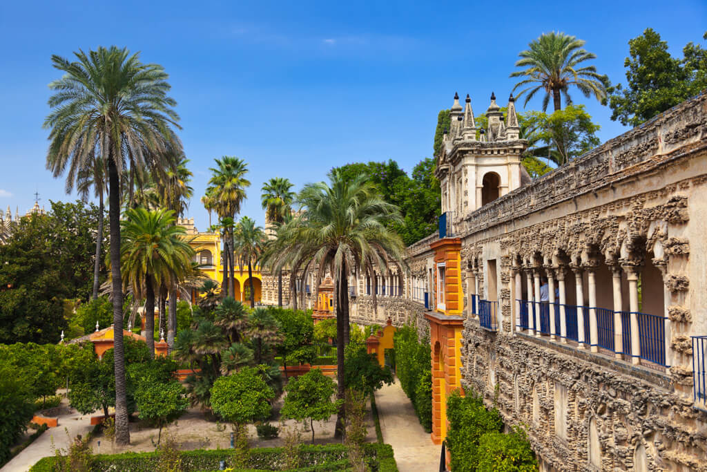  Palm trees and Moorish influenced architecture at Alcazar Palace Seville