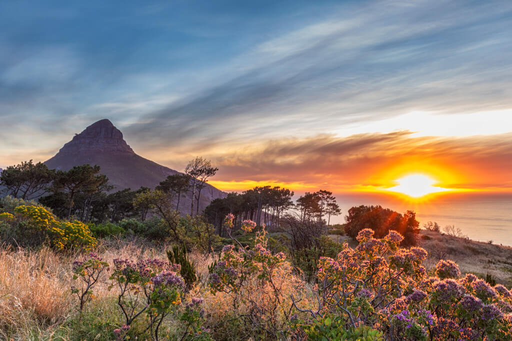 Glowing sunset and Lion's Head from Signal Hill . Copyright@2024 DepositPhotos