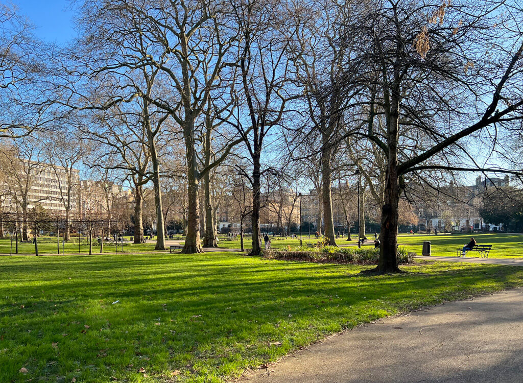 Winter view of Russell Square gardens with mature trees and lawns. Hotels and terrace of houses in distance. Copyright@2024 mapandfamily.com 
