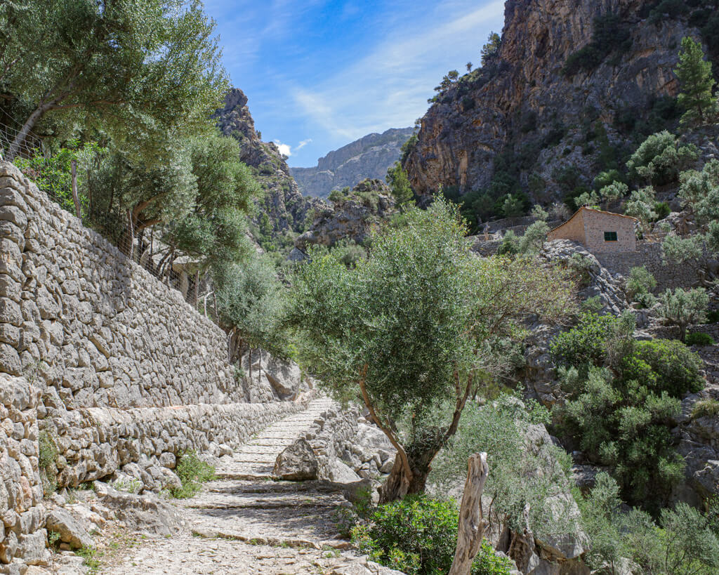 Dry stone footpath on Serra de Tramuntana in Mallorca, amongst tree in a rocky valley. 