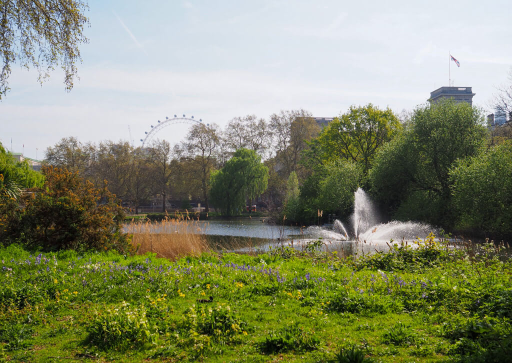 View of fountain in St James's Park on a fine day in April in London. Copyright@2024mapandfamily.com 