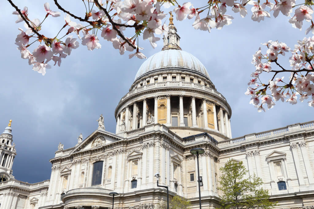 Fine April London weather at St Paul's cathedral with cherry blossom framing the view of the dome. Copyright@2024mapandfamily.com 