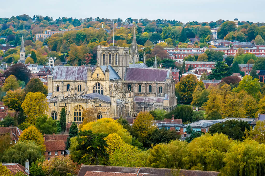A view of Winchester from a hillside showing the cathedral surrounded by mature trees and many period buildings. 
