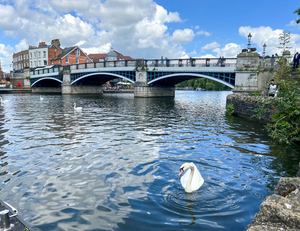 A broad stone bridge crossing the river Thames with swans swimming in the foreground. Copyright@2024 mapandfamily.com