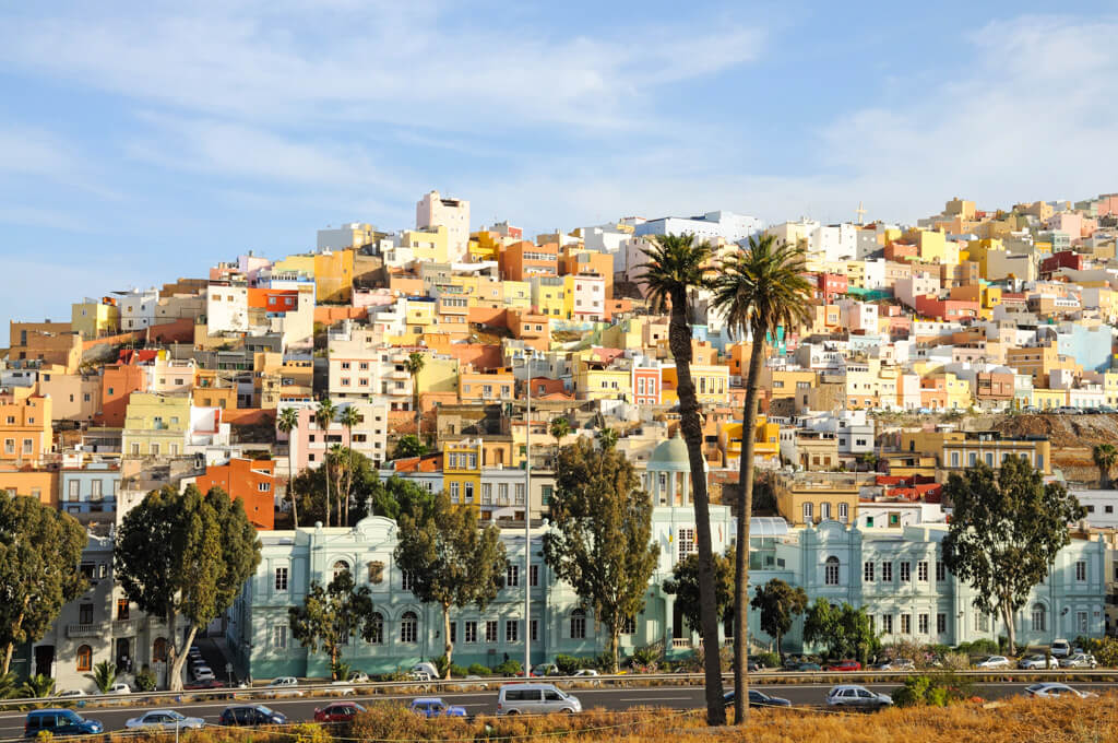 A hillside of colourful houses in Las Palmas with two palm trees in the foreground. 