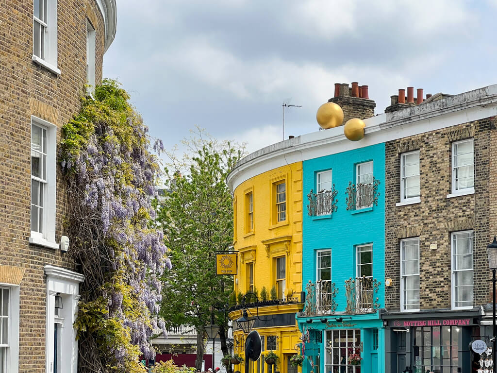 Wisteria on the wall of a house and buildings painted bright yellow and turquoise in Portobello. Copyright@2025 NancyRoberts
