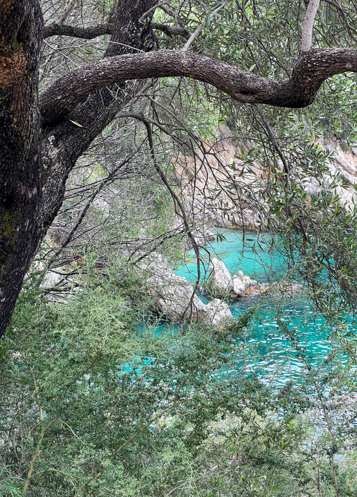 Bright turquoise sea framed by the branches of an olive tree on a coastal walk near Kalami. Copyright@2025 NancyRoberts