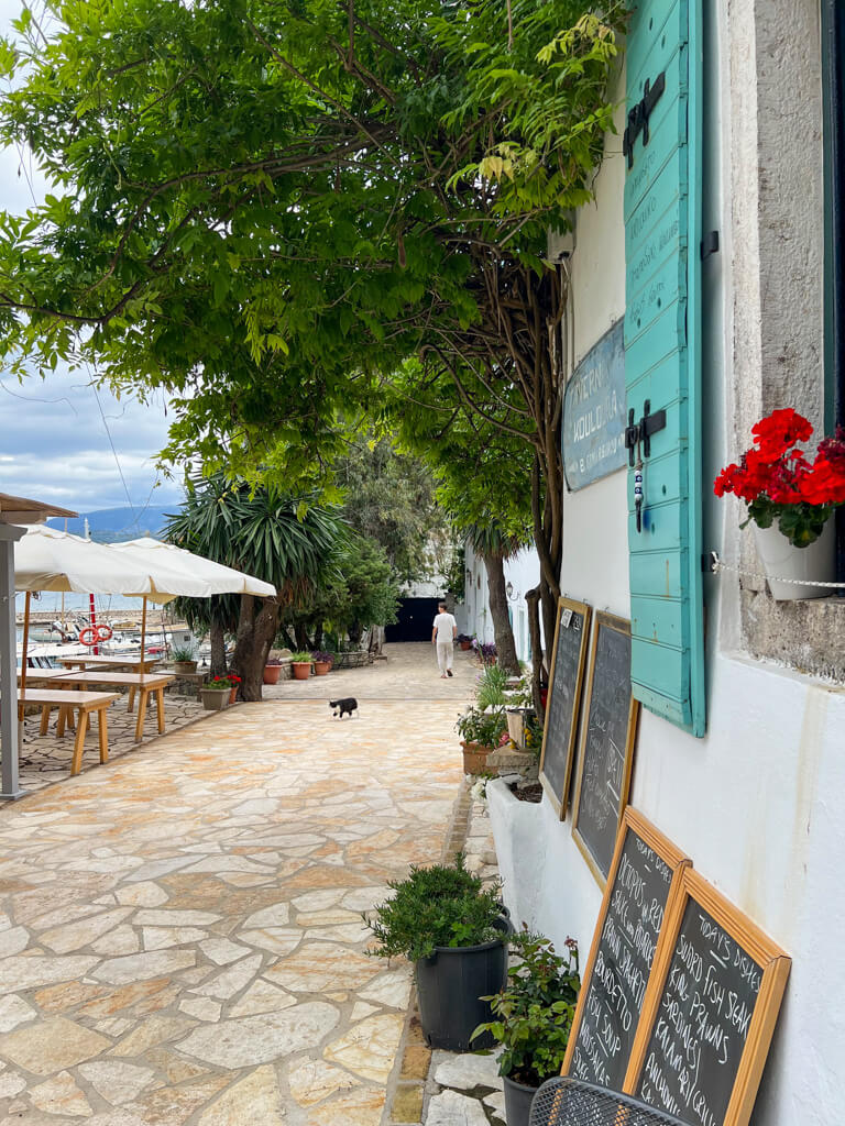 Turquoise shutters and blackboard menus at the fish taverna in Kouloura. Copyright@2025 NancyRoberts