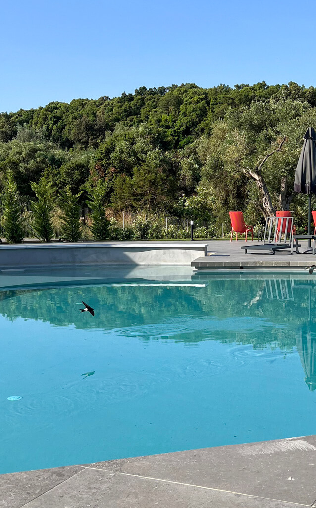 Swallows flying low over the pool at Arete Lifestyle hotel with peaceful wooded hillside in background. Copyright@2025 NancyRoberts