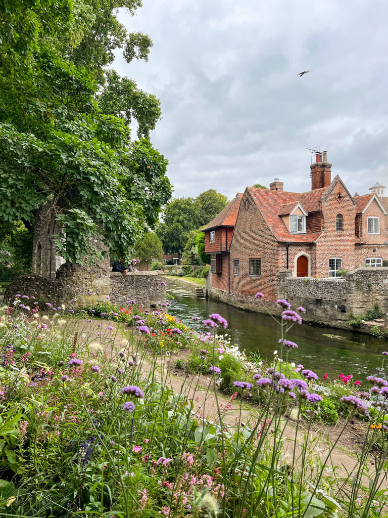 Purple flowers in the foreground with a view of the River Stoar in the centre of Canterbury. A period brick building stands on the other side of the narrow river. Copyright@2025 Nancy Roberts